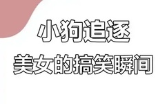久久日产精品波多野结衣